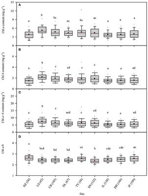 Factors Influencing Leaf Chlorophyll Content in Natural Forests at the Biome Scale